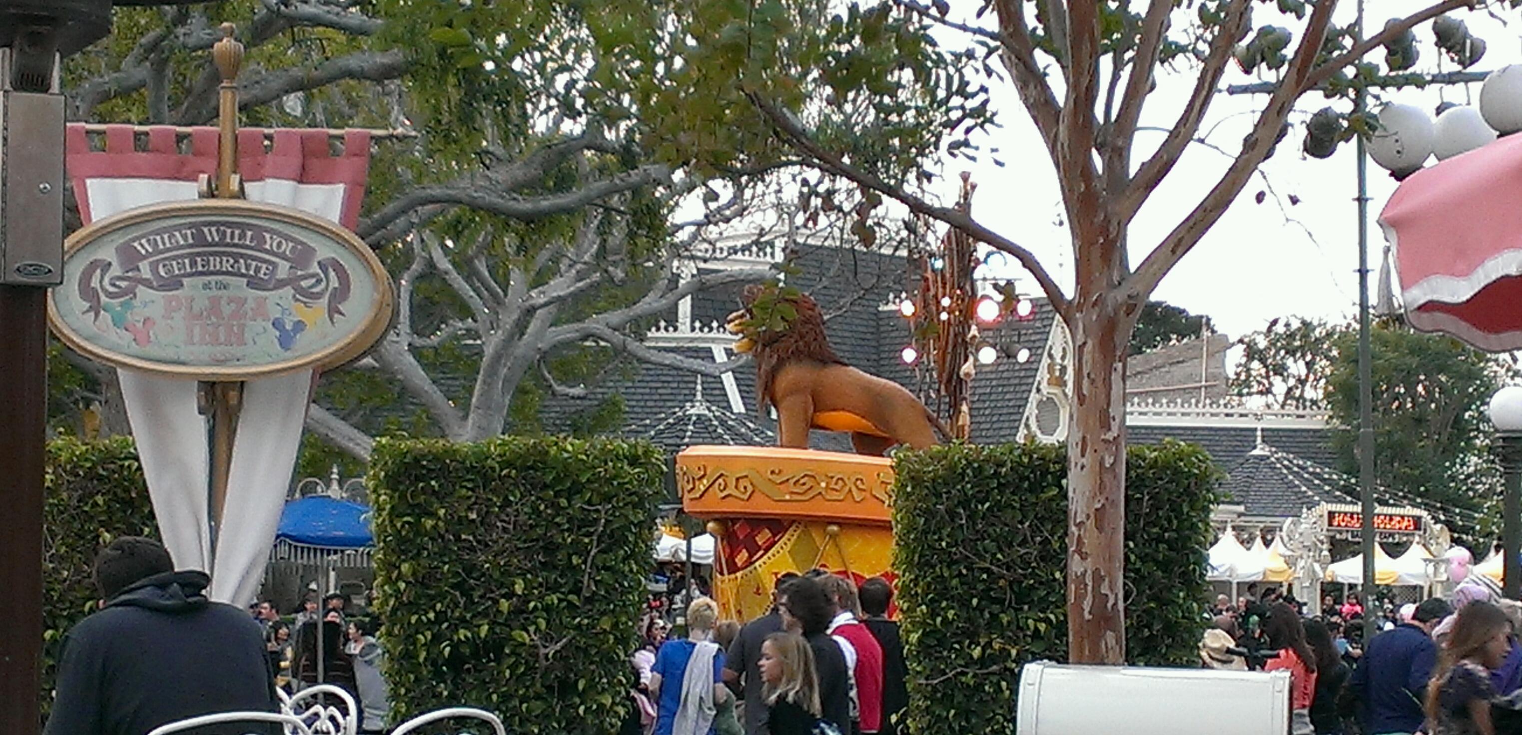 wpid-IMAG3529_1.jpg image