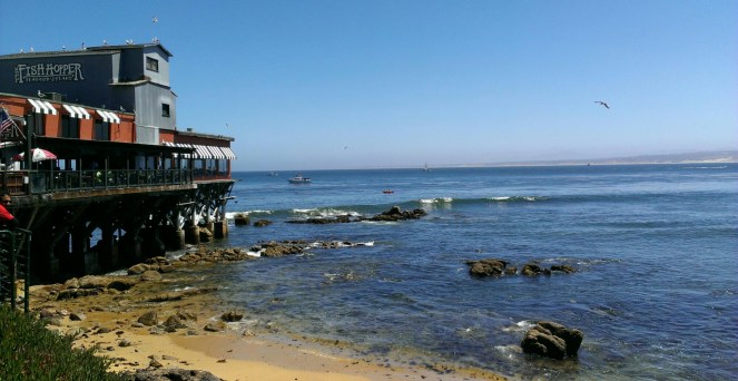 IMAG0713_1.jpg image