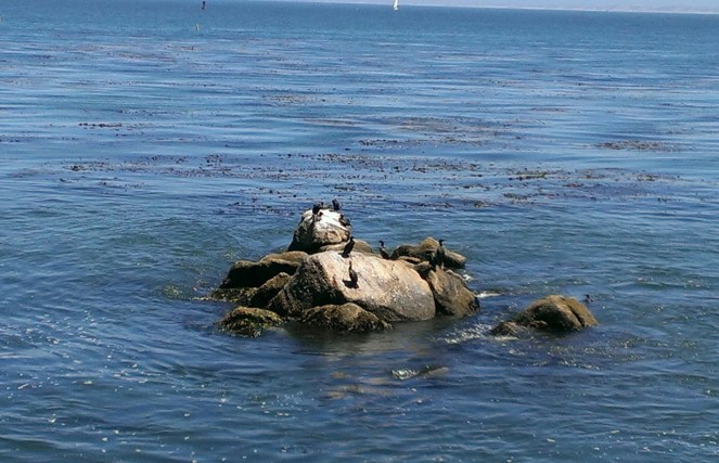 IMAG0715_1.jpg image