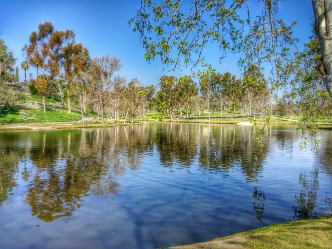 20150208_112140_HDR~2.jpg image