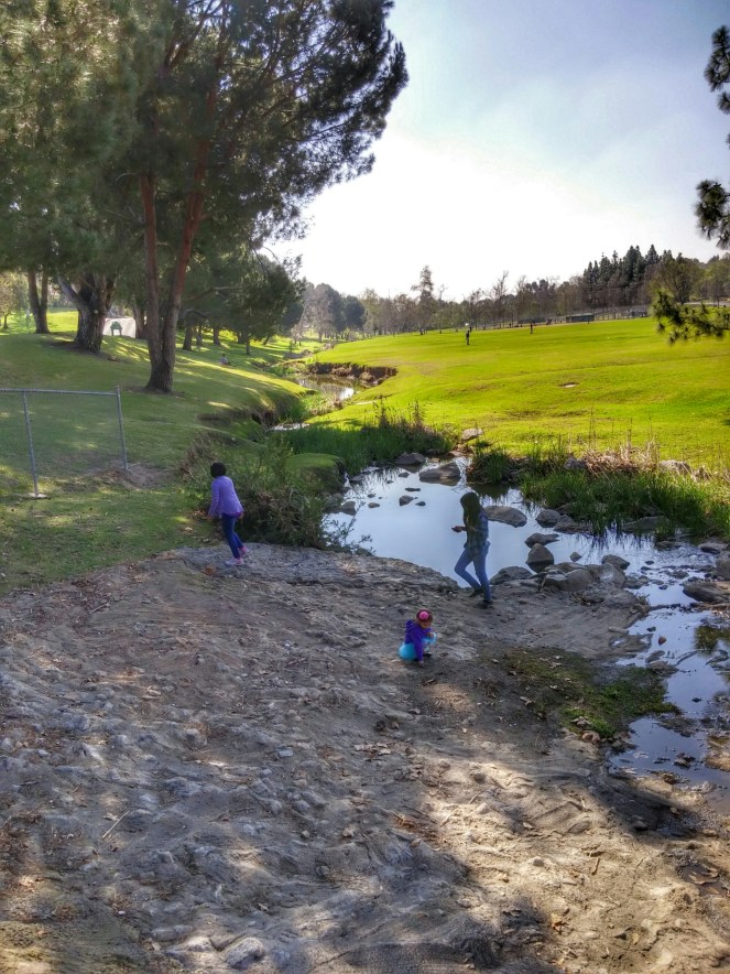 20150208_112222_HDR~2.jpg image