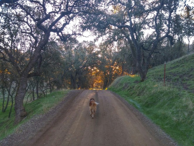 20151226_074659~2.jpg image